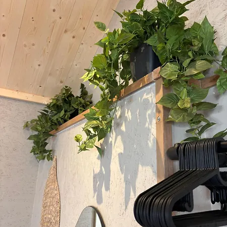 Saltea House Apartman *