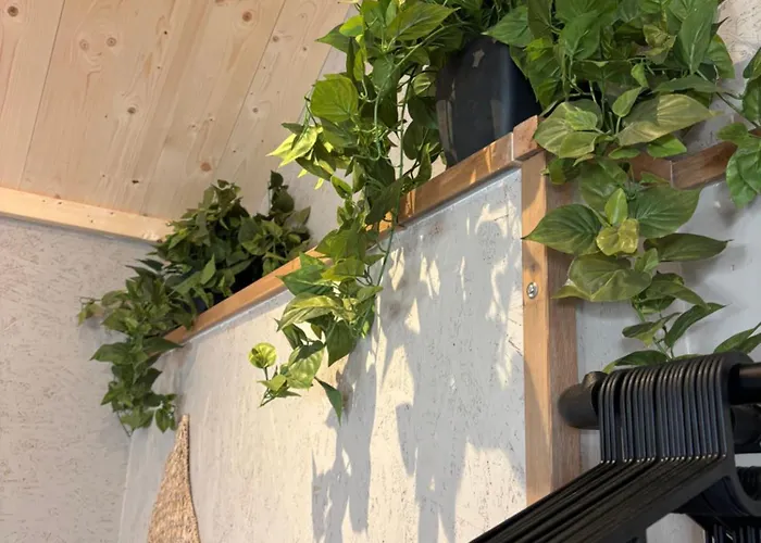 Saltea House Апартаменты *