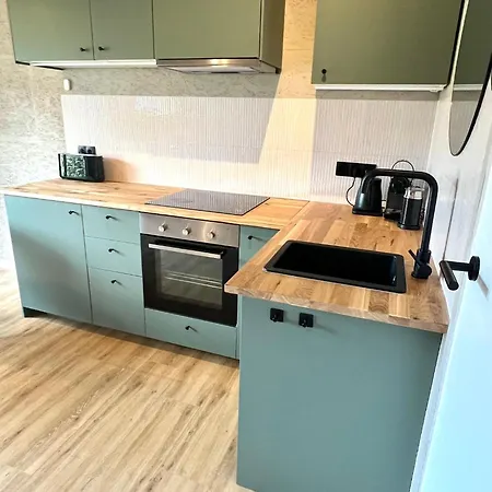 Apartment Saltea House *